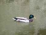 2007-0613-1355-06.jpg